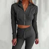 Women's Spring Autumn Sweatshirt Female Clothing Sets Trouser Sport Home Sportswear Sets